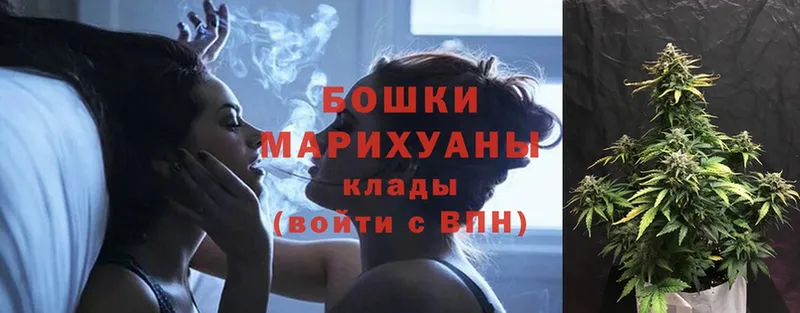 как найти   Вышний Волочёк  Конопля Bruce Banner 